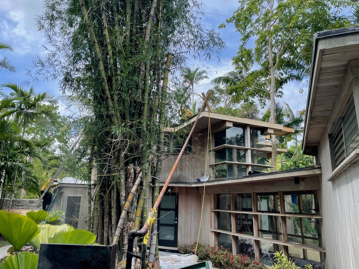 Alfred Browning Parker tropical modernist home. Floor to ceiling glass wall under a deep overhanging eave.