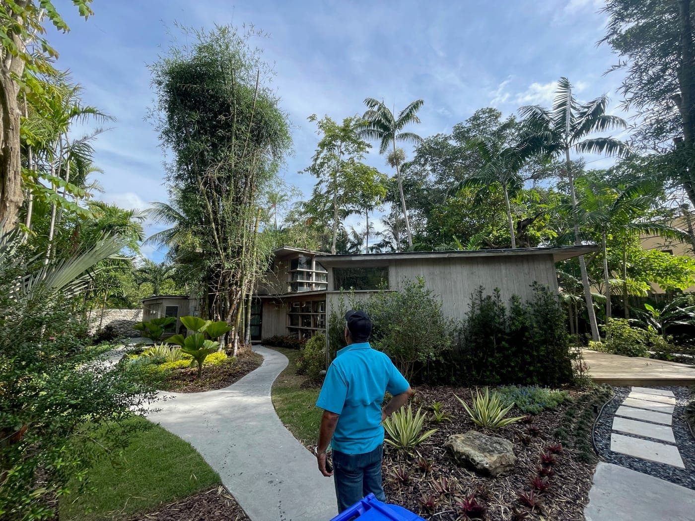 Alfred Browning Parker tropical modernist home. Path through bamboo leading toward the house.